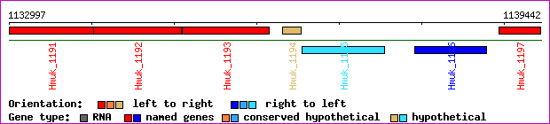 gene map