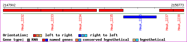 gene map