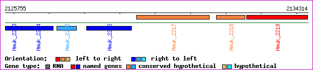gene map