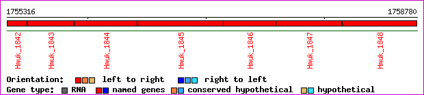 gene map