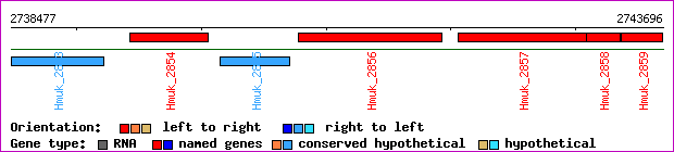 gene map