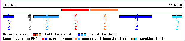 gene map