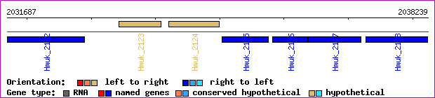 gene map