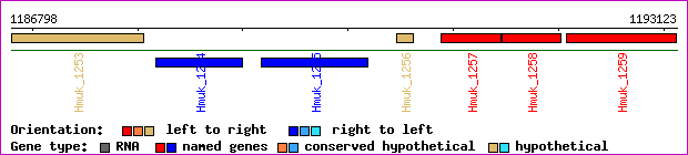 gene map