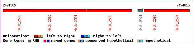 gene map