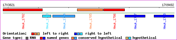 gene map