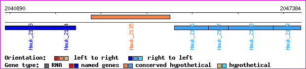 gene map