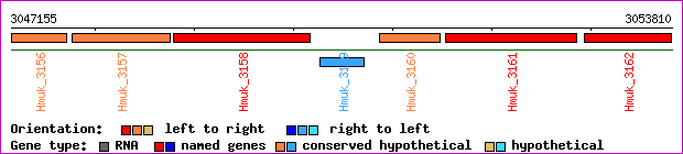 gene map