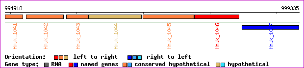 gene map