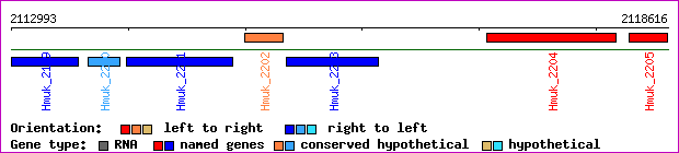 gene map