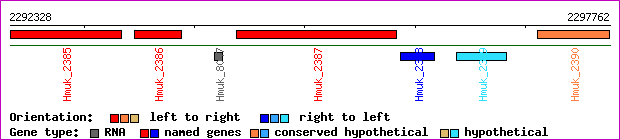 gene map