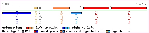 gene map