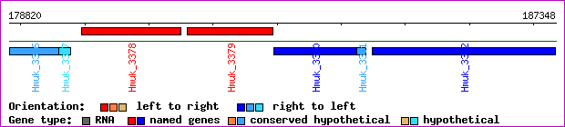 gene map