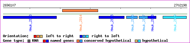 gene map