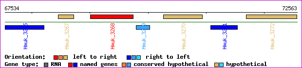 gene map