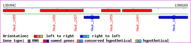gene map
