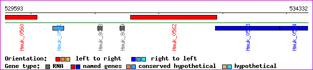 gene map