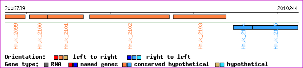 gene map