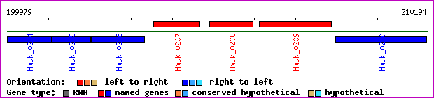 gene map
