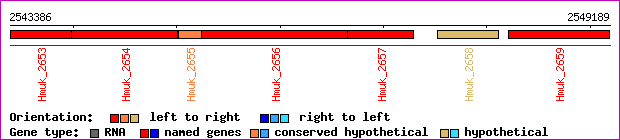 gene map