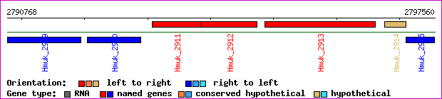 gene map