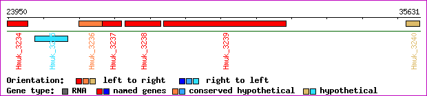gene map