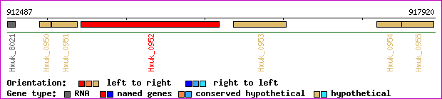 gene map