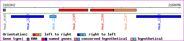 gene map