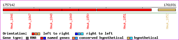 gene map