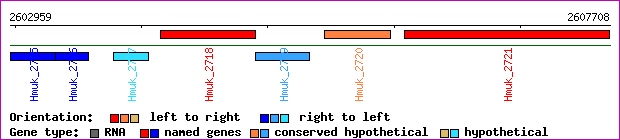 gene map