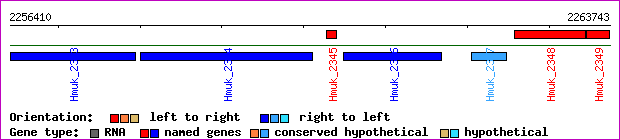 gene map