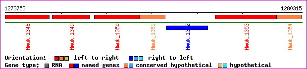 gene map