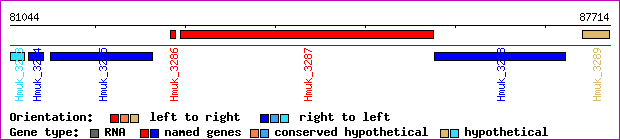 gene map
