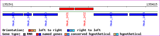 gene map