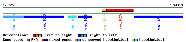 gene map