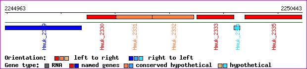 gene map