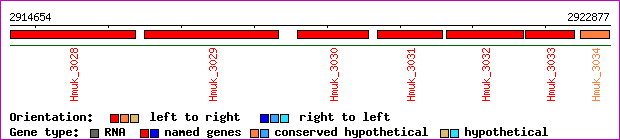 gene map