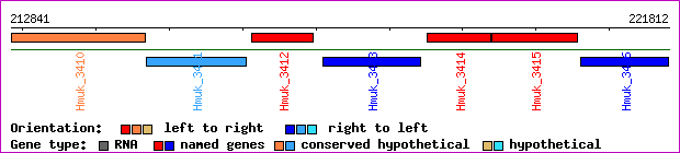 gene map