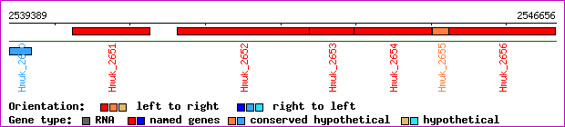 gene map