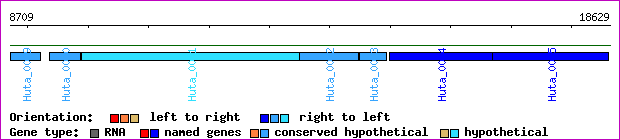 gene map