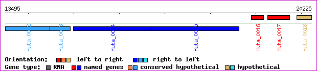 gene map