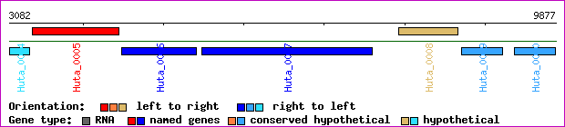 gene map