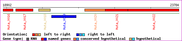 gene map
