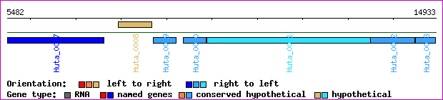 gene map