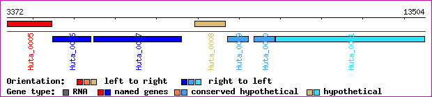 gene map