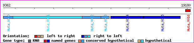 gene map