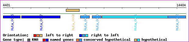 gene map