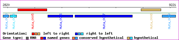 gene map