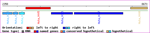 gene map