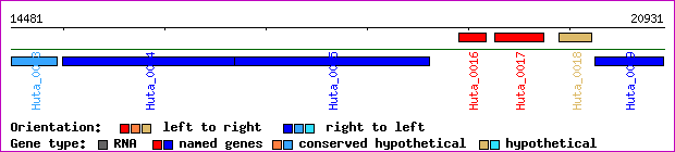 gene map